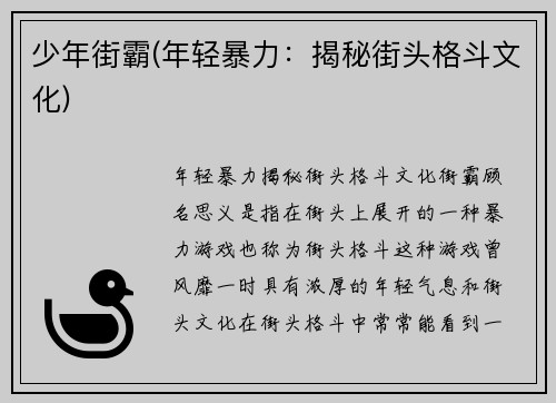 少年街霸(年轻暴力：揭秘街头格斗文化)